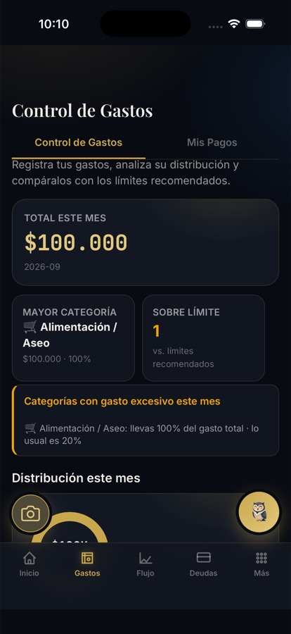 Control de gastos en la app: total del mes, mayor categoría y alerta de gasto excesivo